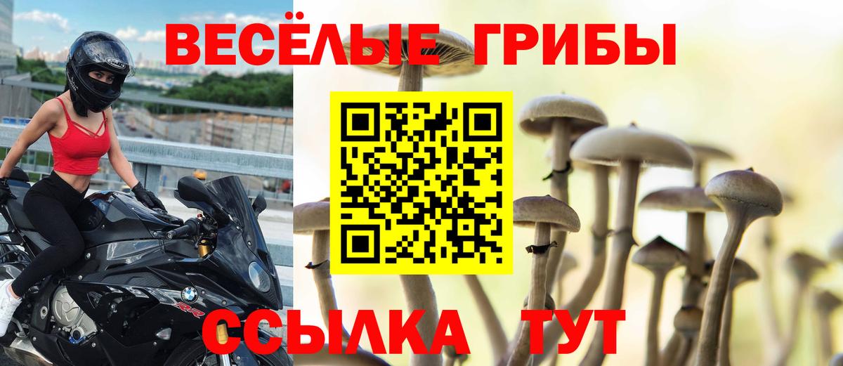 закладка  Псилоцибиновые грибы Psilocybe  Псилоцибиновые грибы GOLDEN TEACHER  Вход с VPN  Серов 